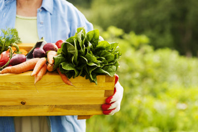 Primavera e alimentazione sana: quali sono i cibi di stagione?