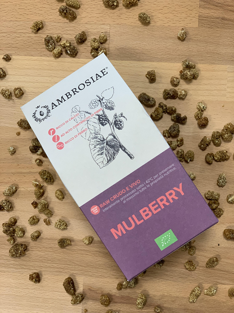Mulberry